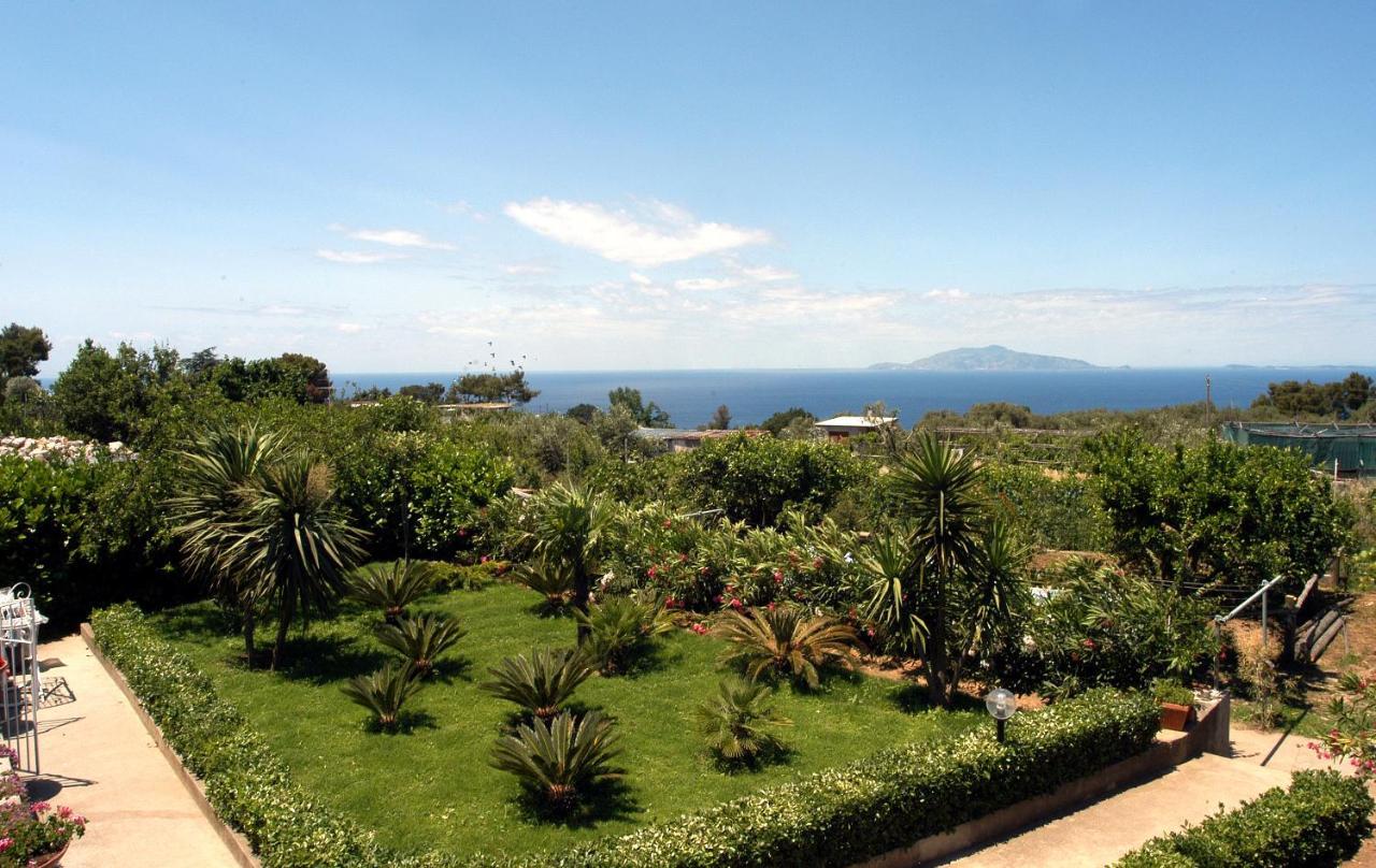 villa damecuta B&B Anacapri  Esterno foto