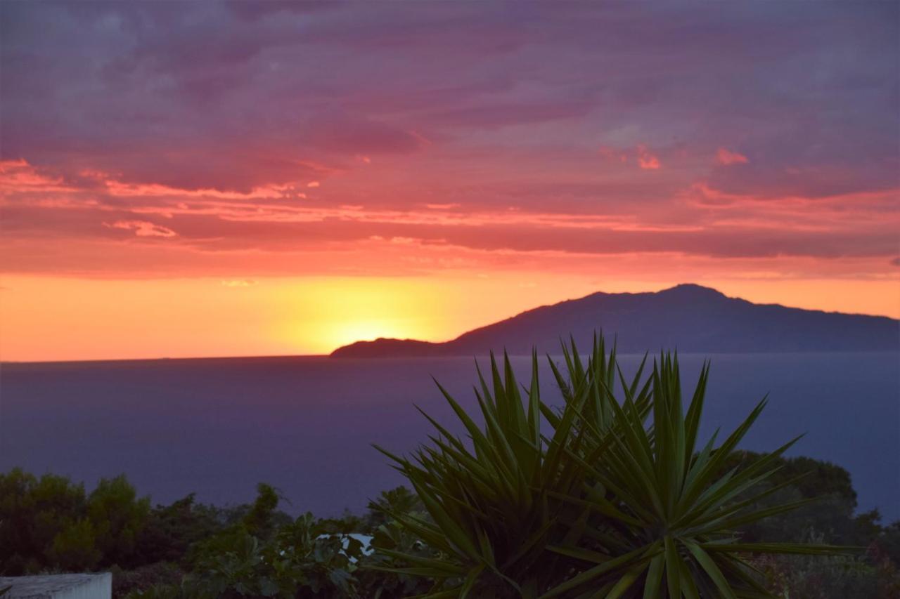 villa damecuta B&B Anacapri  Esterno foto