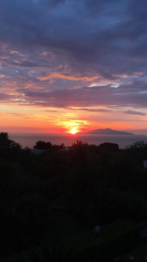 villa damecuta B&B Anacapri  Esterno foto