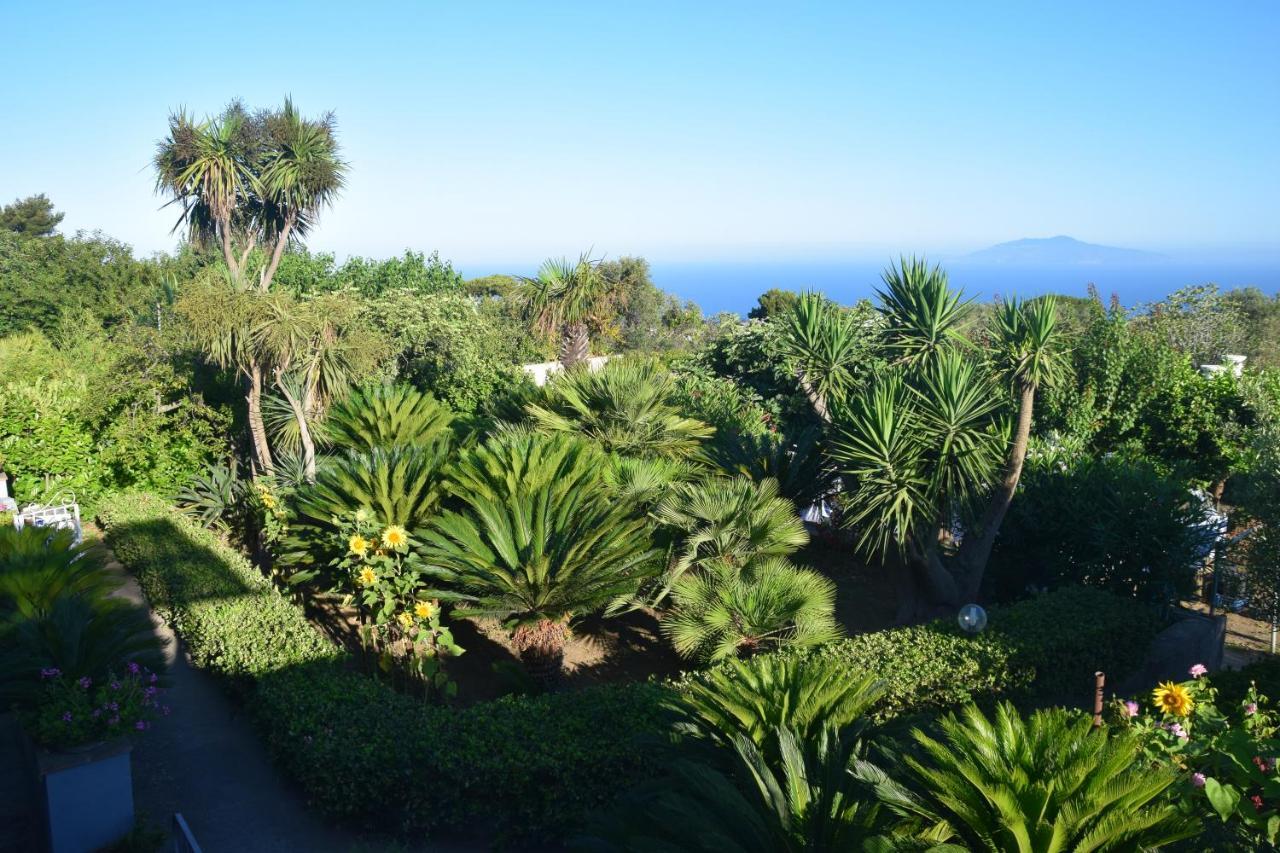 villa damecuta B&B Anacapri  Esterno foto