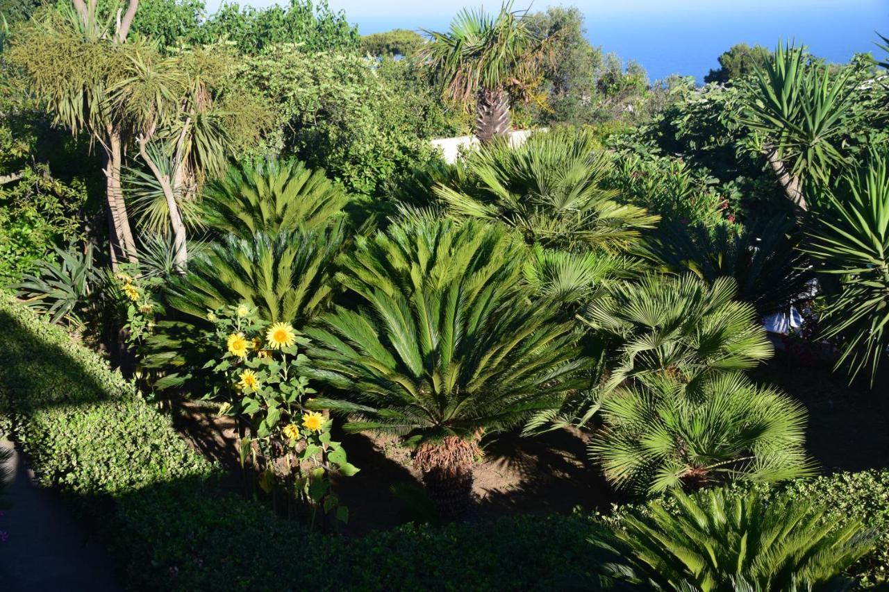 villa damecuta B&B Anacapri  Esterno foto