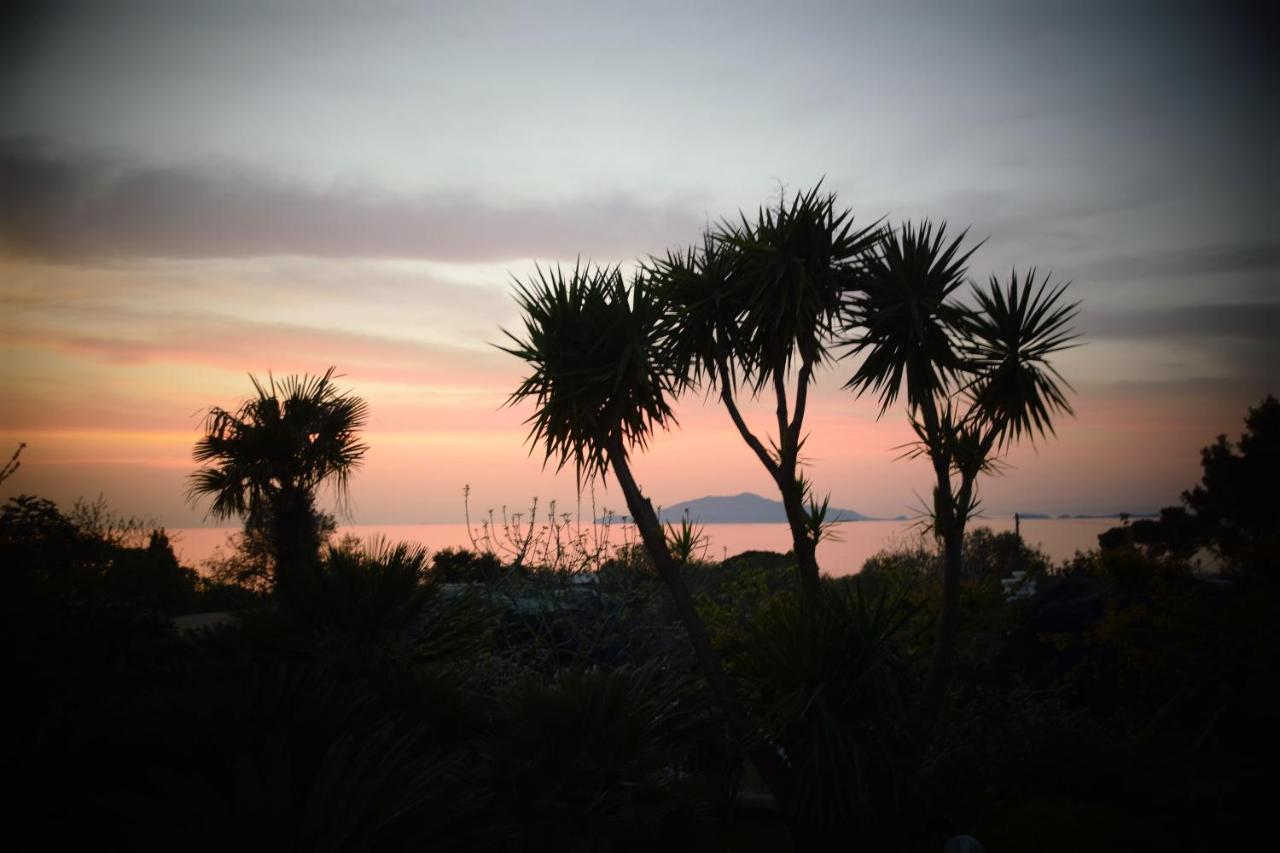 villa damecuta B&B Anacapri  Esterno foto