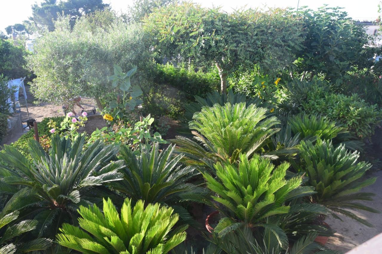 villa damecuta B&B Anacapri  Esterno foto